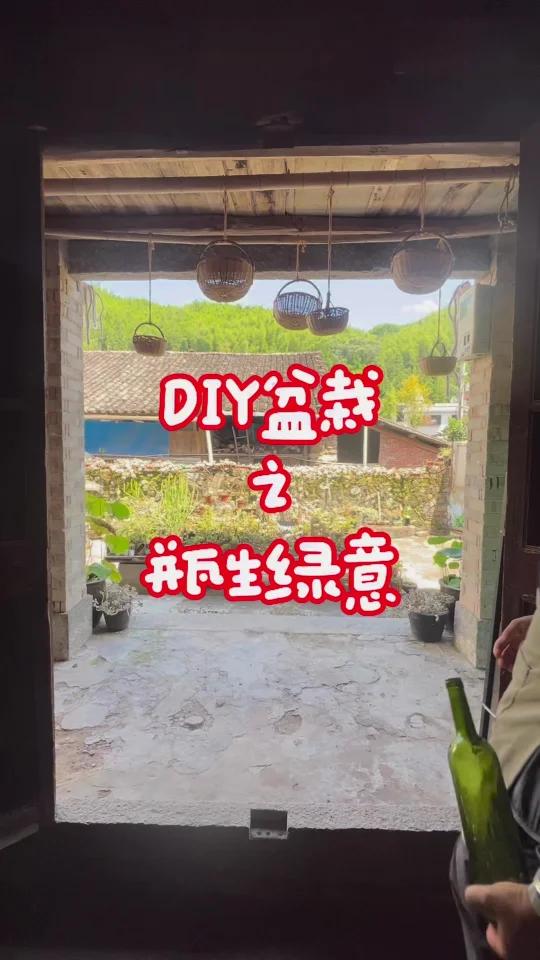 废旧玻璃瓶也能玩出花样 用热胀冷缩轻松切割 磨平 钻孔 种上多肉 秒变瓶里绿梦 快来试试这