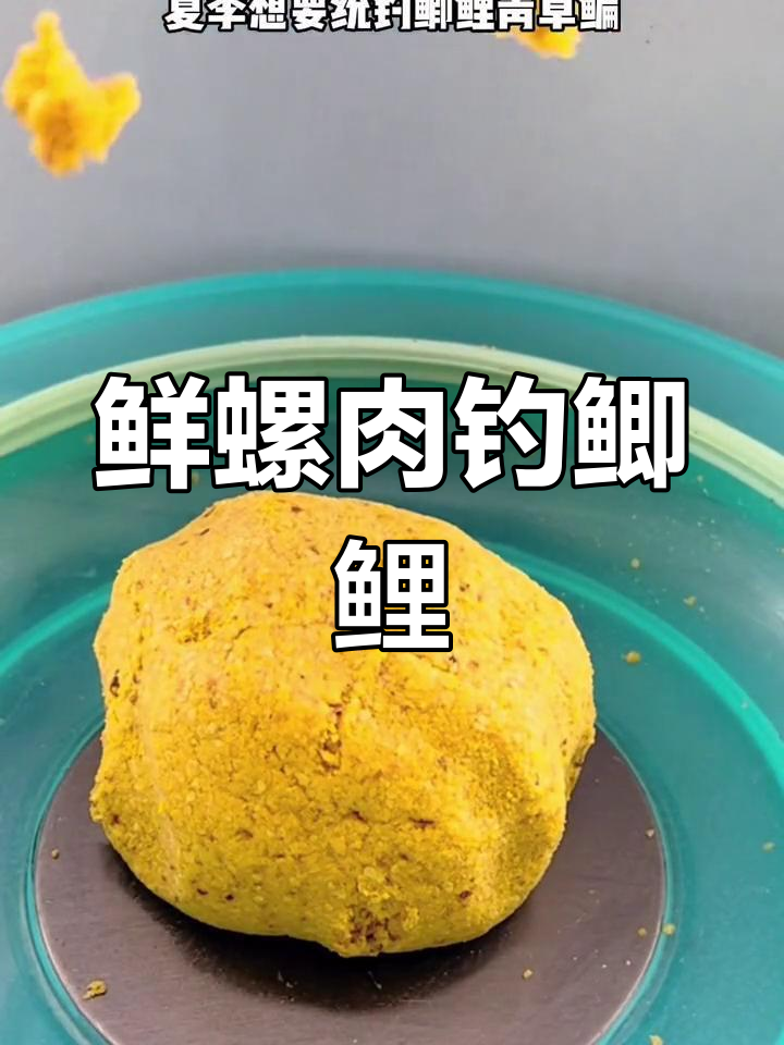夏季钓鱼必备鲜螺肉饵料,轻松爆护
