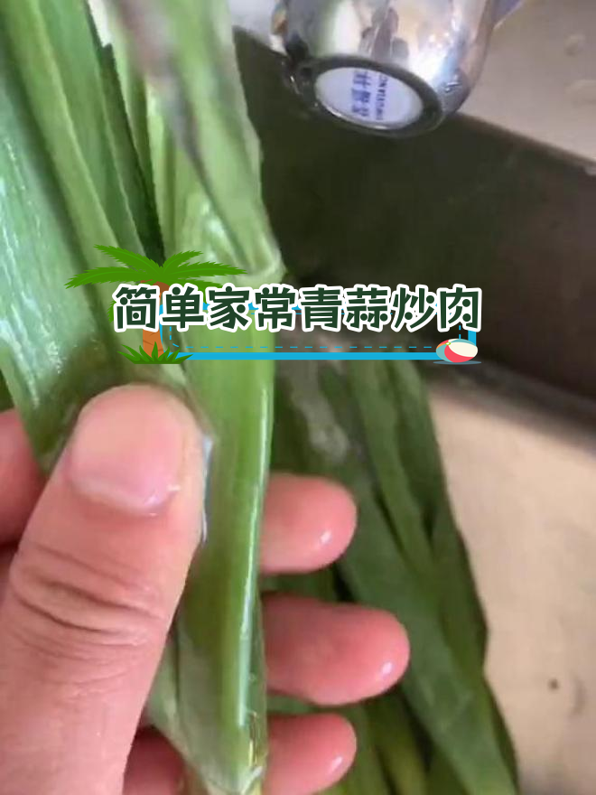 青蒜苗炒肉的家常做法