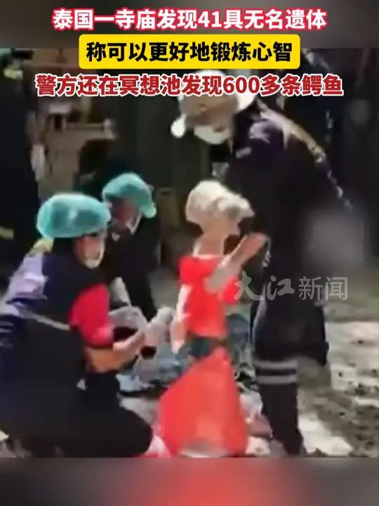 泰国一寺庙发现41具无名遗体,警方还在冥想池发现600多条鳄鱼。泰国 寺庙