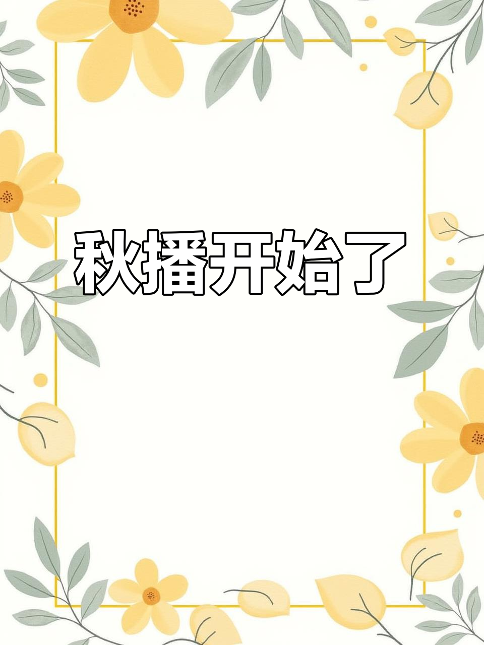 秋天来了,开始播种小白菜、上海青等蔬菜!