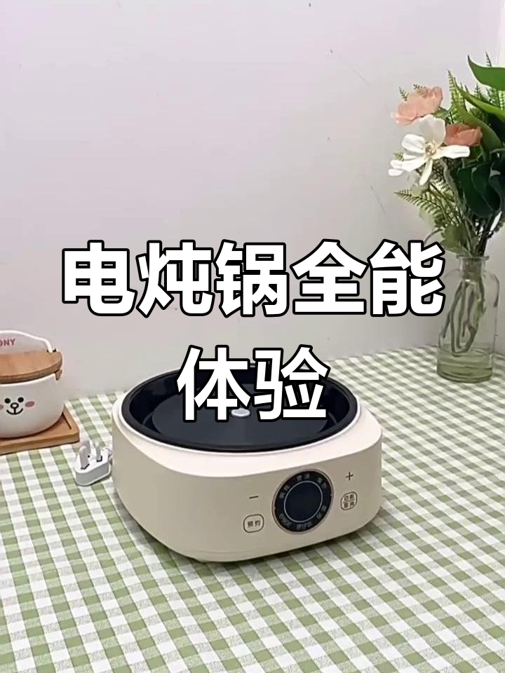 小熊电炖锅,多功能养生煲汤煮粥神器