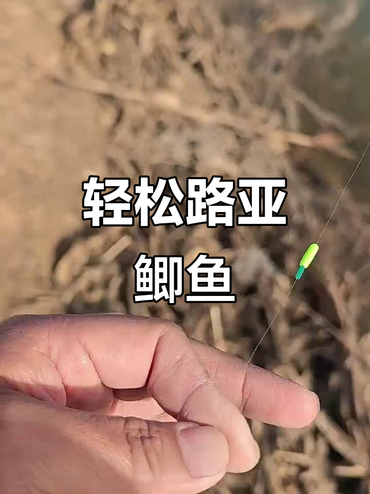 路亚鲫鱼离底钓组,操作简单不易挂底