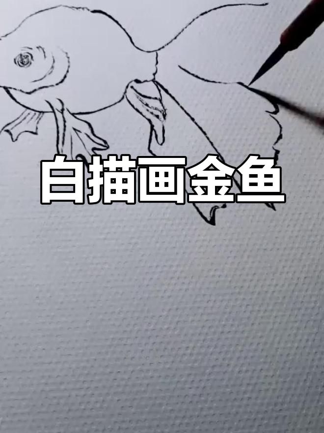 手绘金鱼白描技巧教程