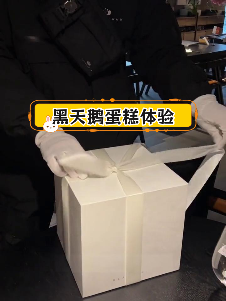 沈阳黑天鹅蛋糕,生日仪式感满分