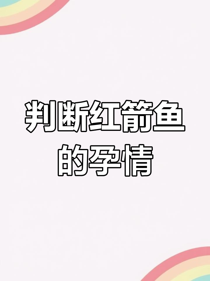 红箭鱼怀孕了吗?预产期倒计时揭秘