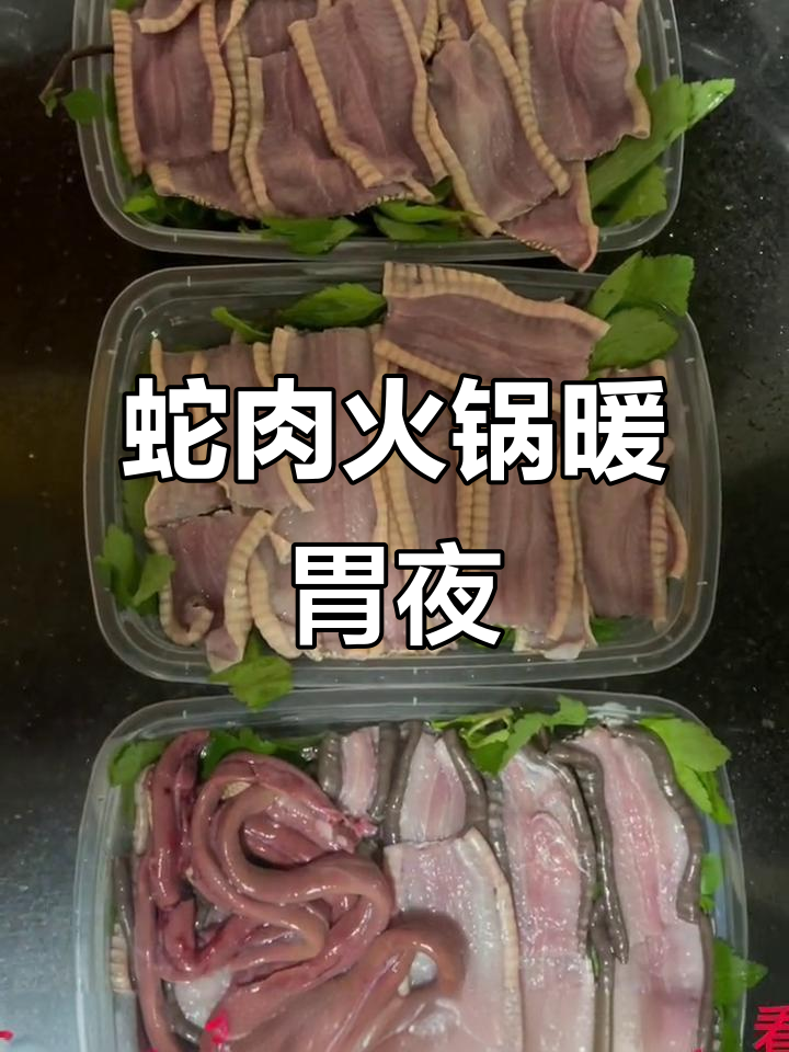 今晚夜宵蛇肉火锅,配酒畅聊世界杯