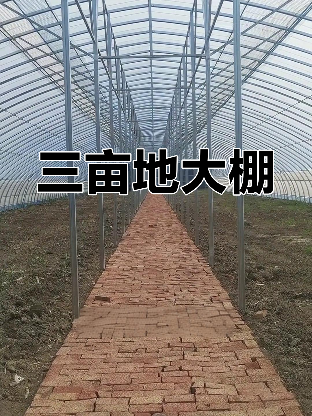 超大蔬菜大棚,三亩地空间