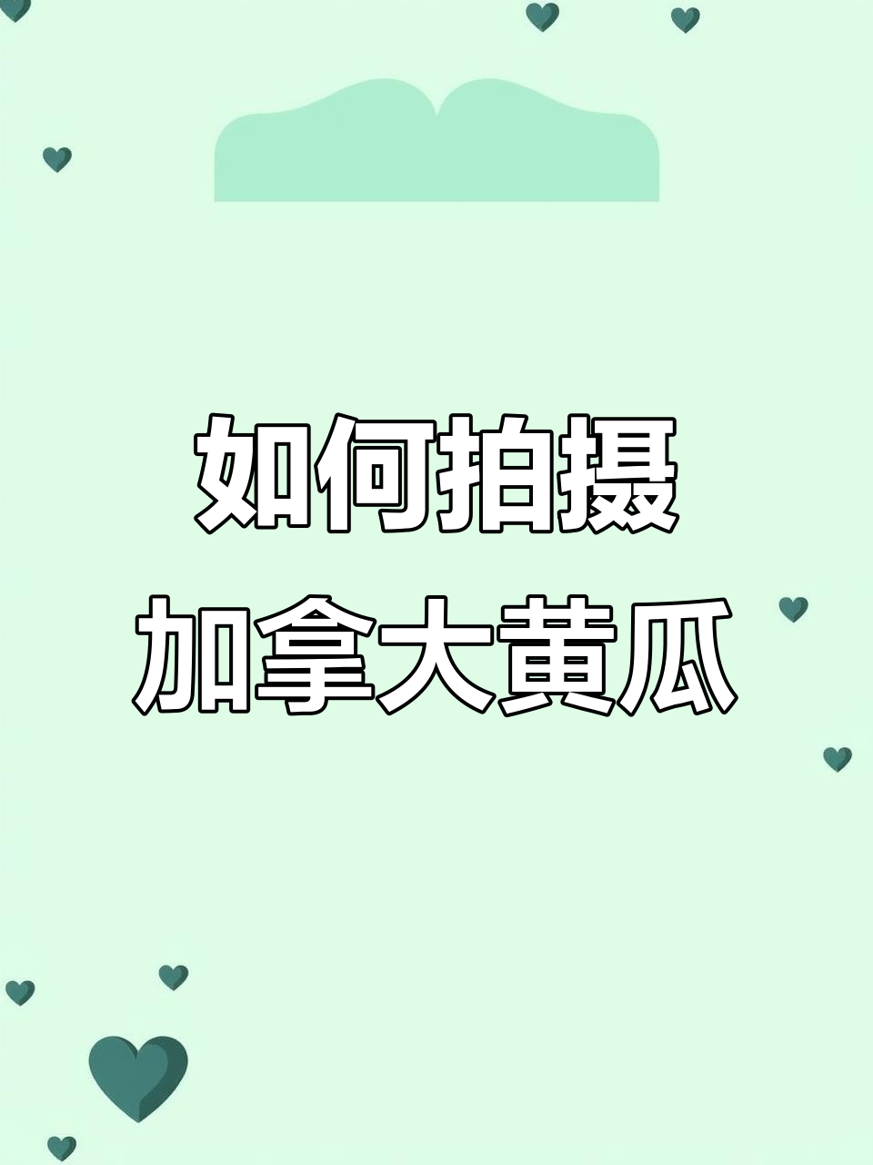 教你轻松拍出完美加拿大黄瓜照片