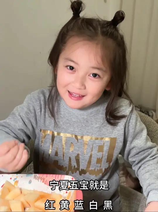 夏五宝:枸杞,甘草,贺兰石,滩羊皮,发菜
