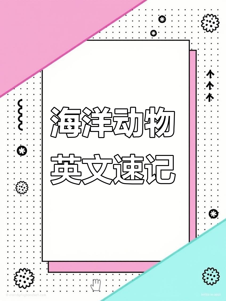 海洋生物英语大集合:从鱼到章鱼的单词全解析