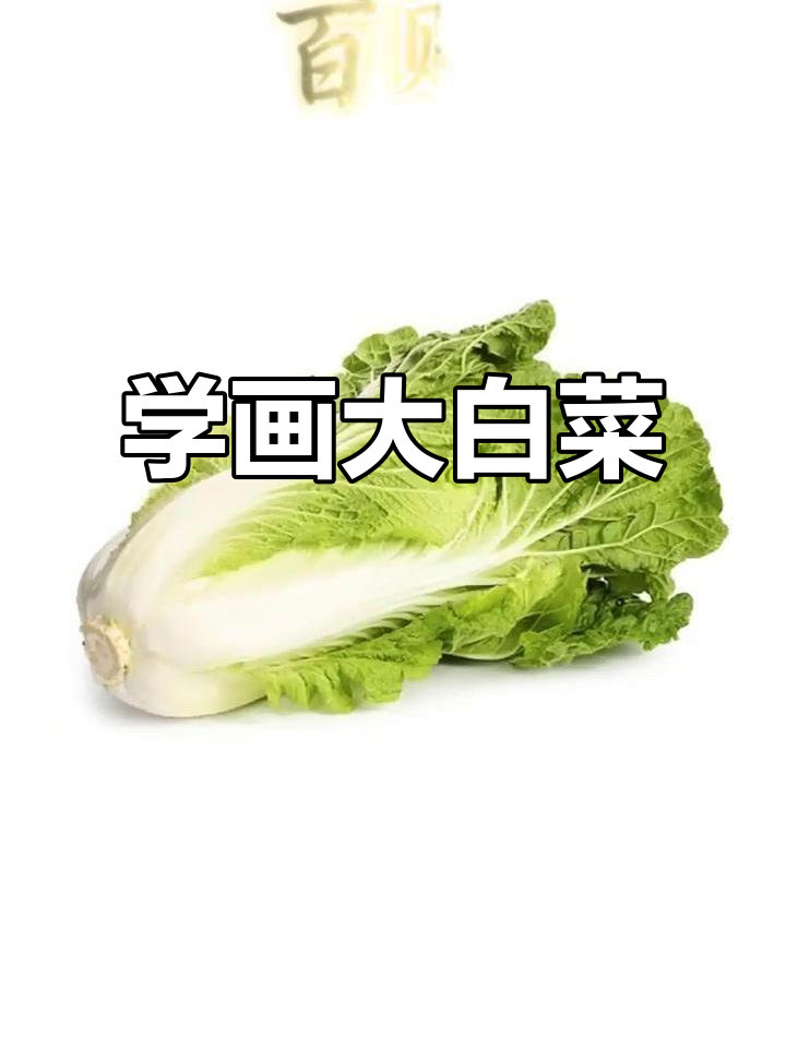 白菜国画技巧，轻松掌握墨色与色彩的完美结合
