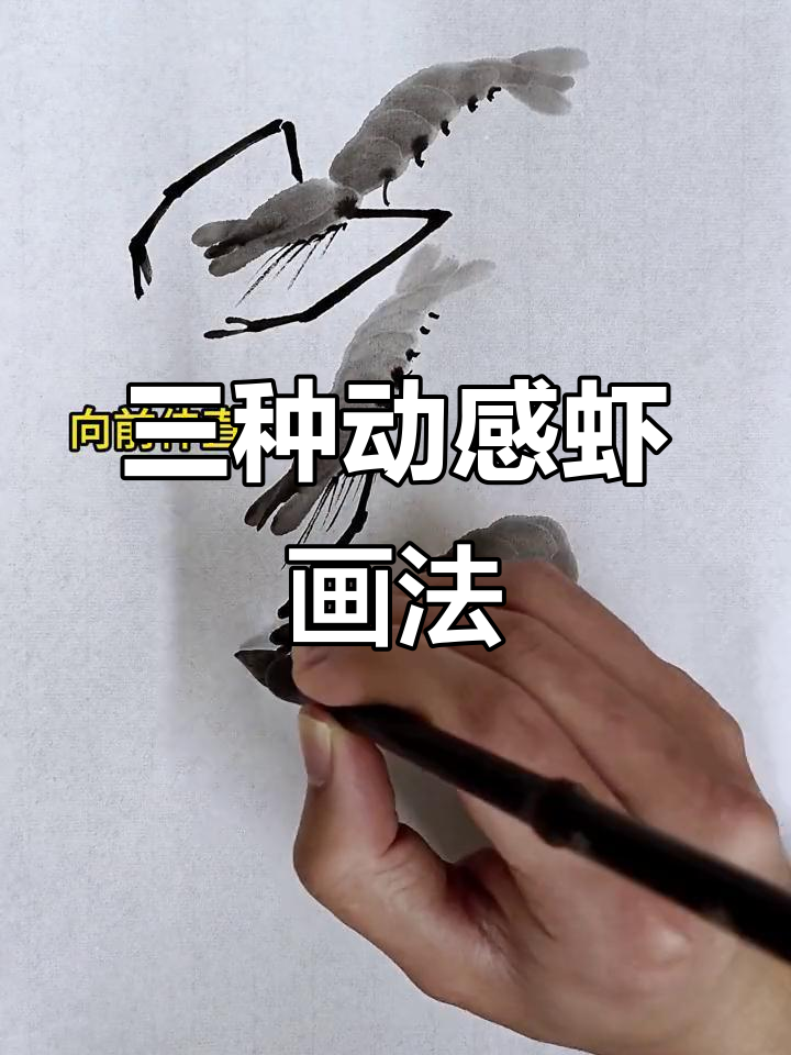 虾的三种动态画法，轻松掌握国画技巧