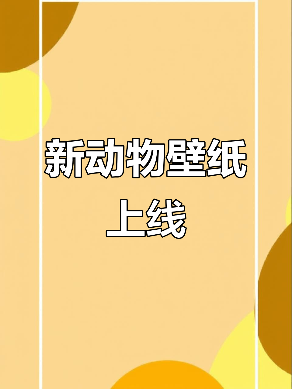 每日动物壁纸更新，带你领略自然之美