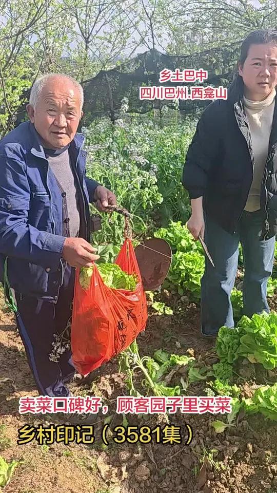 老人卖菜口碑好,顾客园子里来买菜 #关爱老人 #绿色食品 #原创视频 #乡村生活 #宣传正