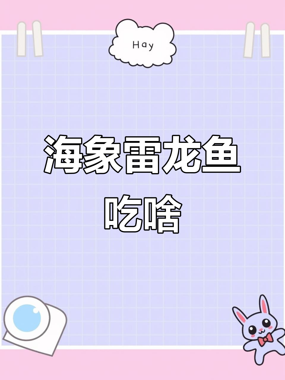 七彩海象雷龙鱼喂食揭秘：红虫与冻丁鱼的完美搭配