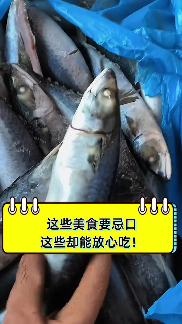 这些美食要忌口,这些却能放心吃!