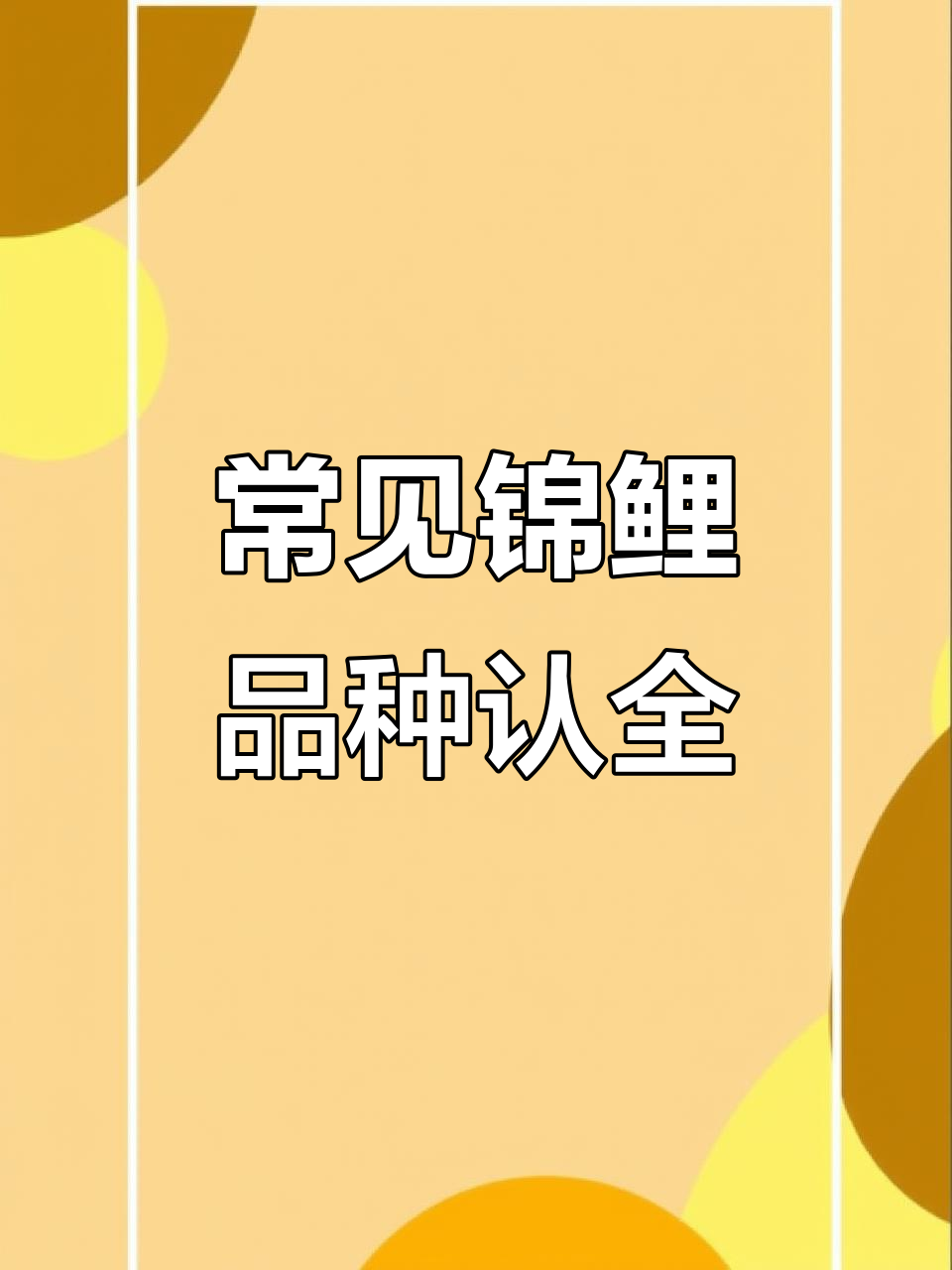 锦鲤品种全解析：从御三家到单顶类，一网打尽