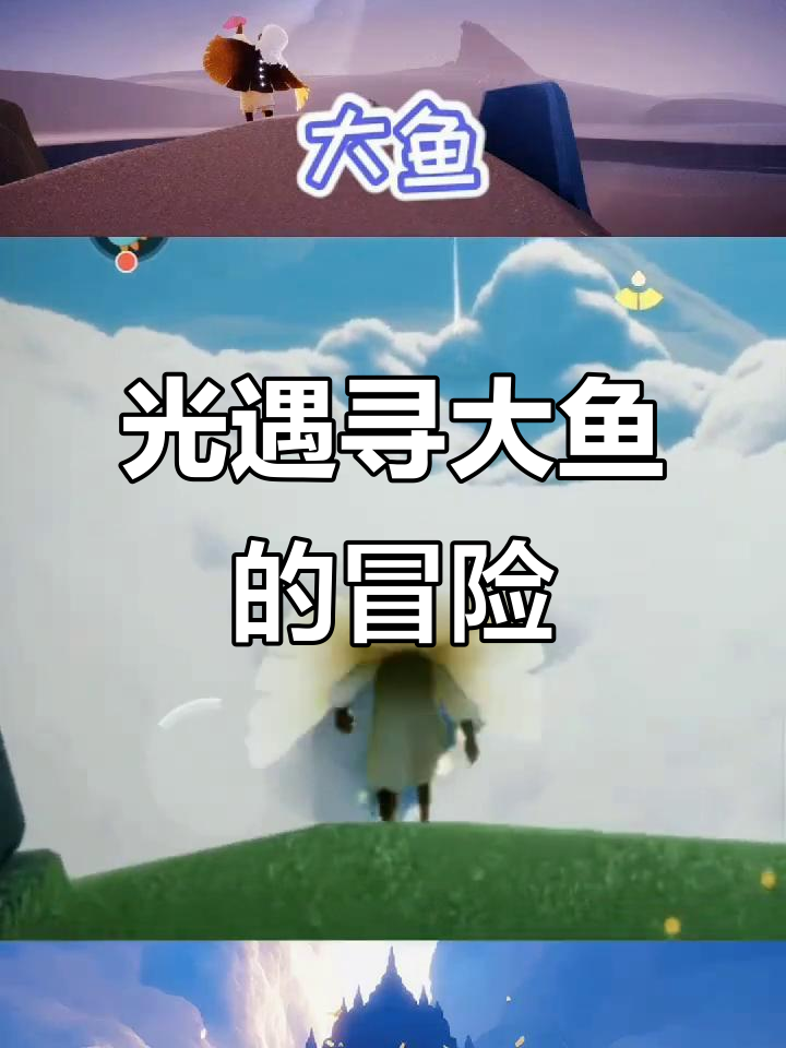 追光者带你一起找大鱼，快来加入我们！