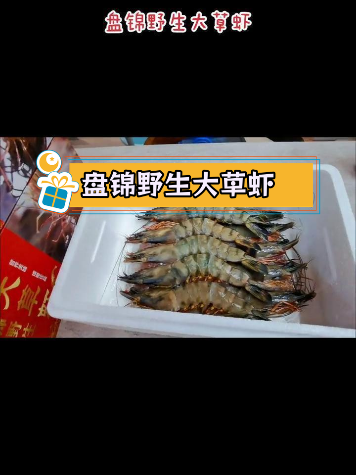 盘锦芦苇塘野生草虾:自然生长,纯天然美味