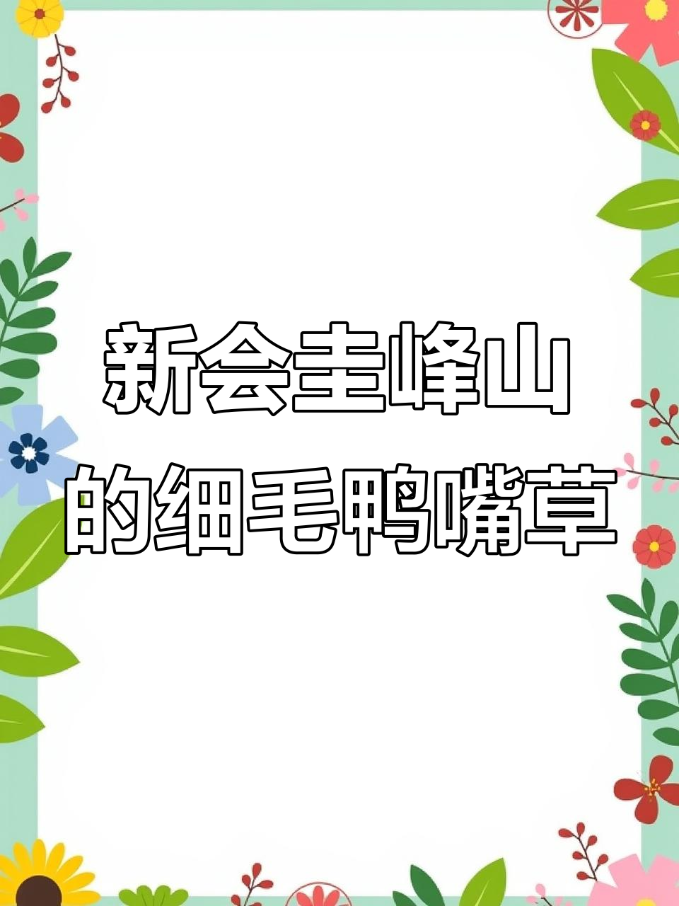 细毛鸭嘴草：圭峰山植物志新发现