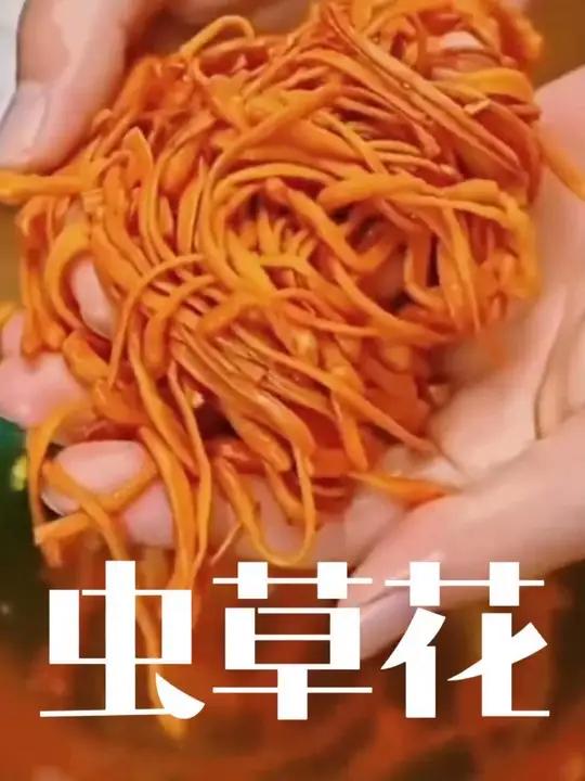 虫草花你不要总是炖汤了 试试这个新鲜虫草花炒鸡蛋 鲜嫩脆嫩菌香浓郁营养又好吃