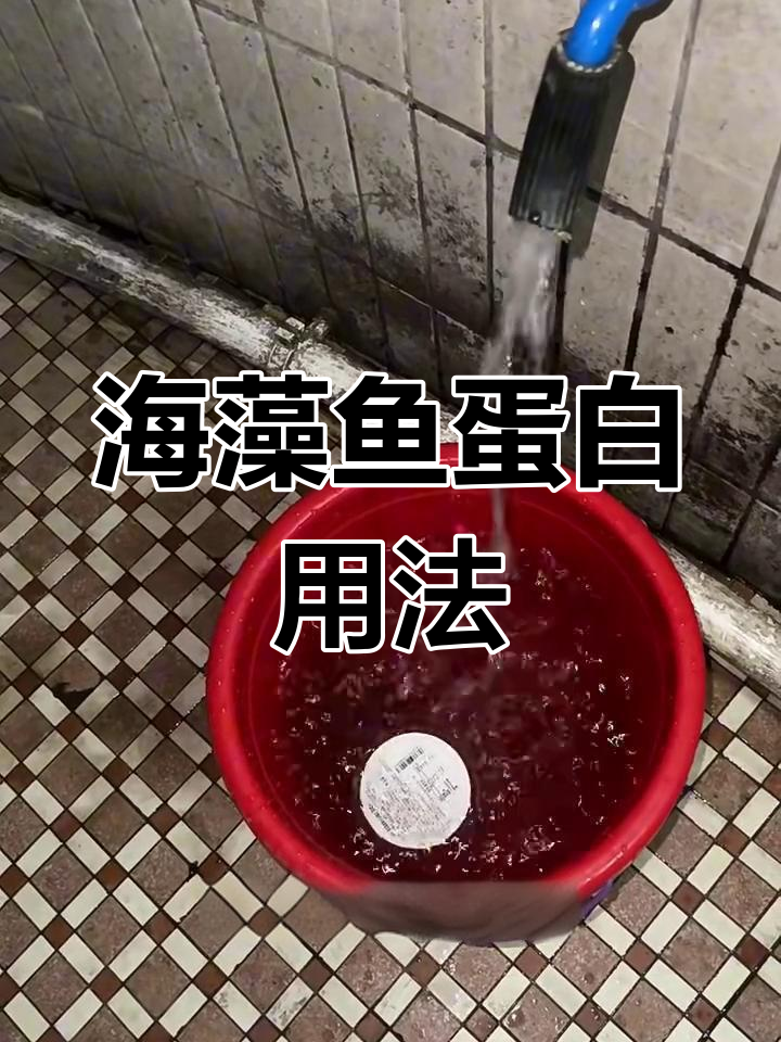 海藻鱼蛋白使用技巧大揭秘,如何让植物更健康
