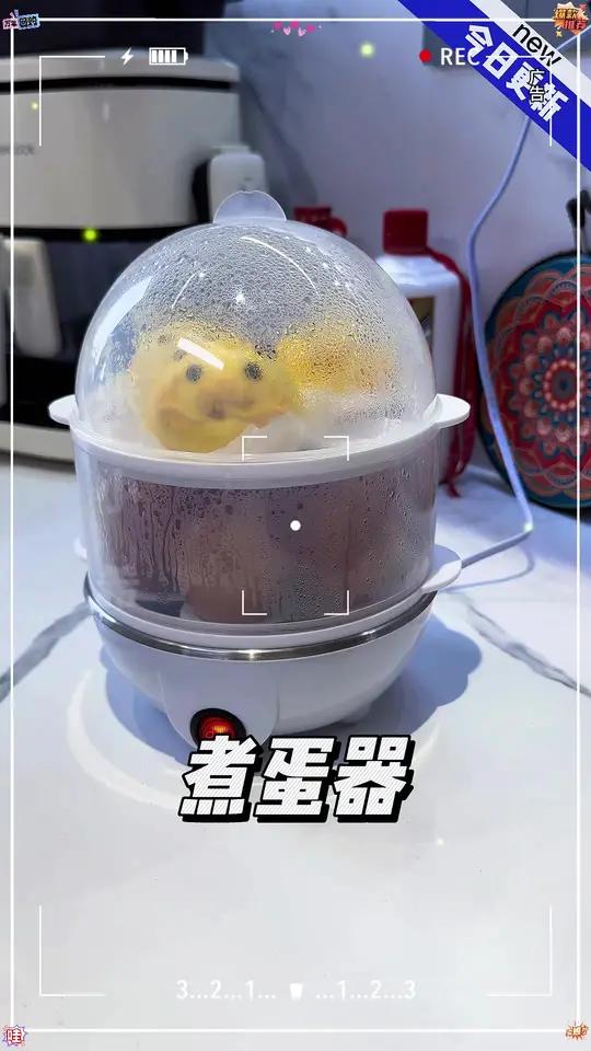 米虹家用煮蛋神器蒸蛋器早餐神器防干烧小型快速蒸蛋机热牛奶