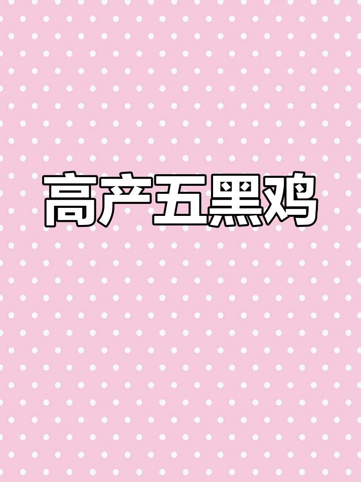 五黑鸡绿壳蛋,年产量高,家庭自养更放心