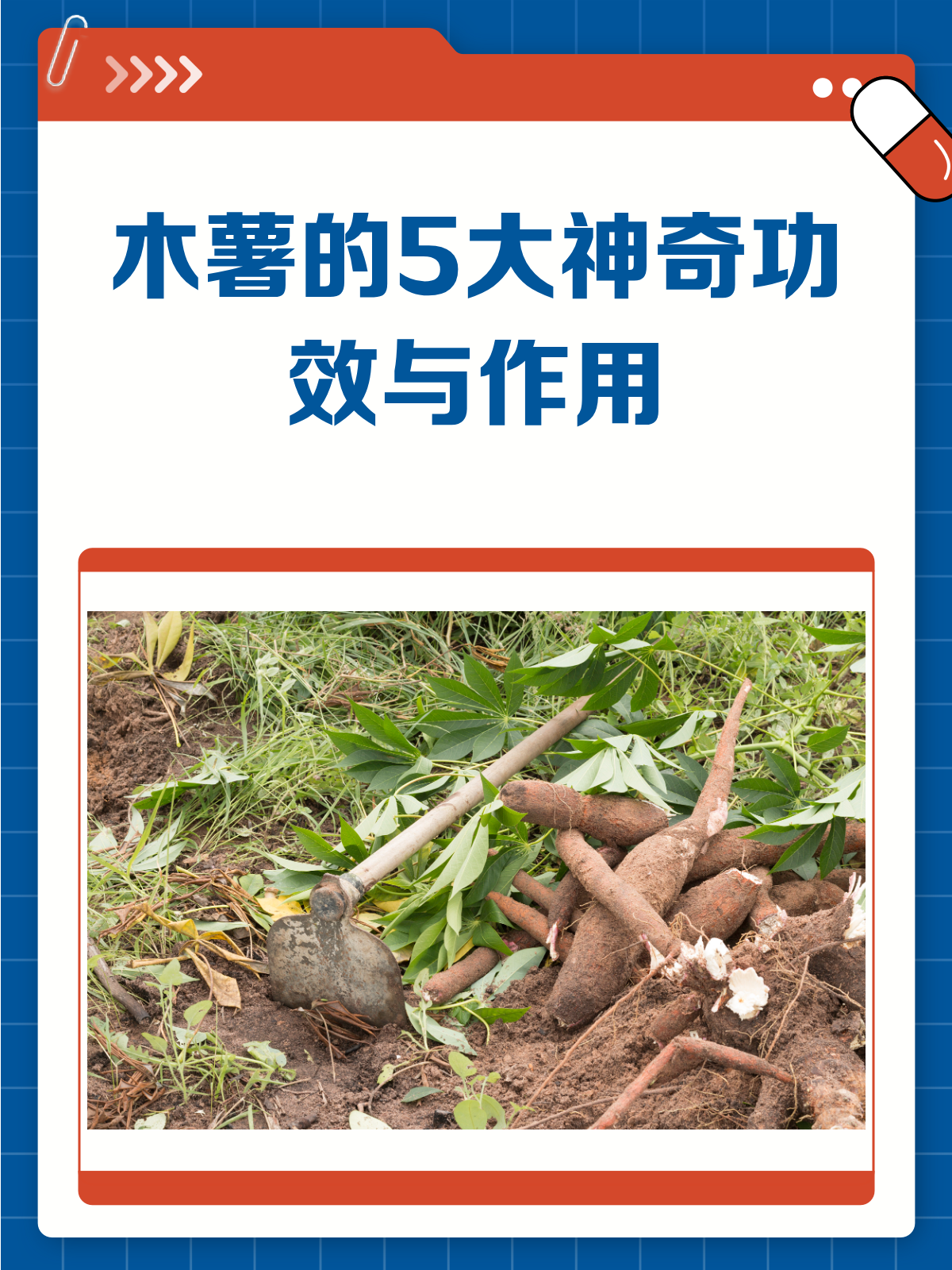 木薯居然这么神奇?解锁它的隐藏功效与作用!