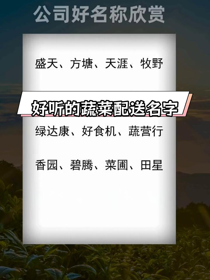 精选蔬菜配送公司命名推荐