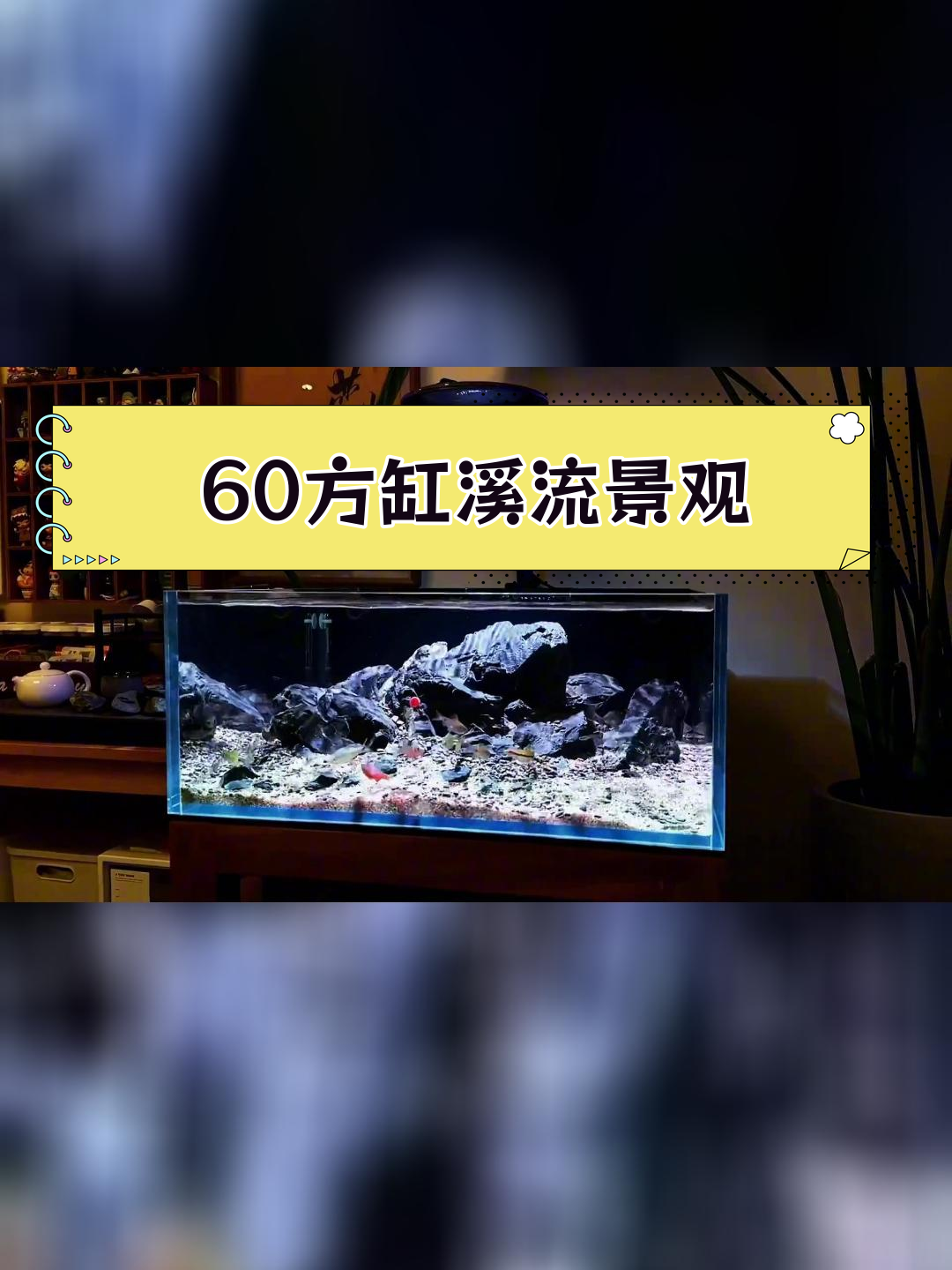 60方缸溪流造景,积光飞碟F8 Pro效果惊艳