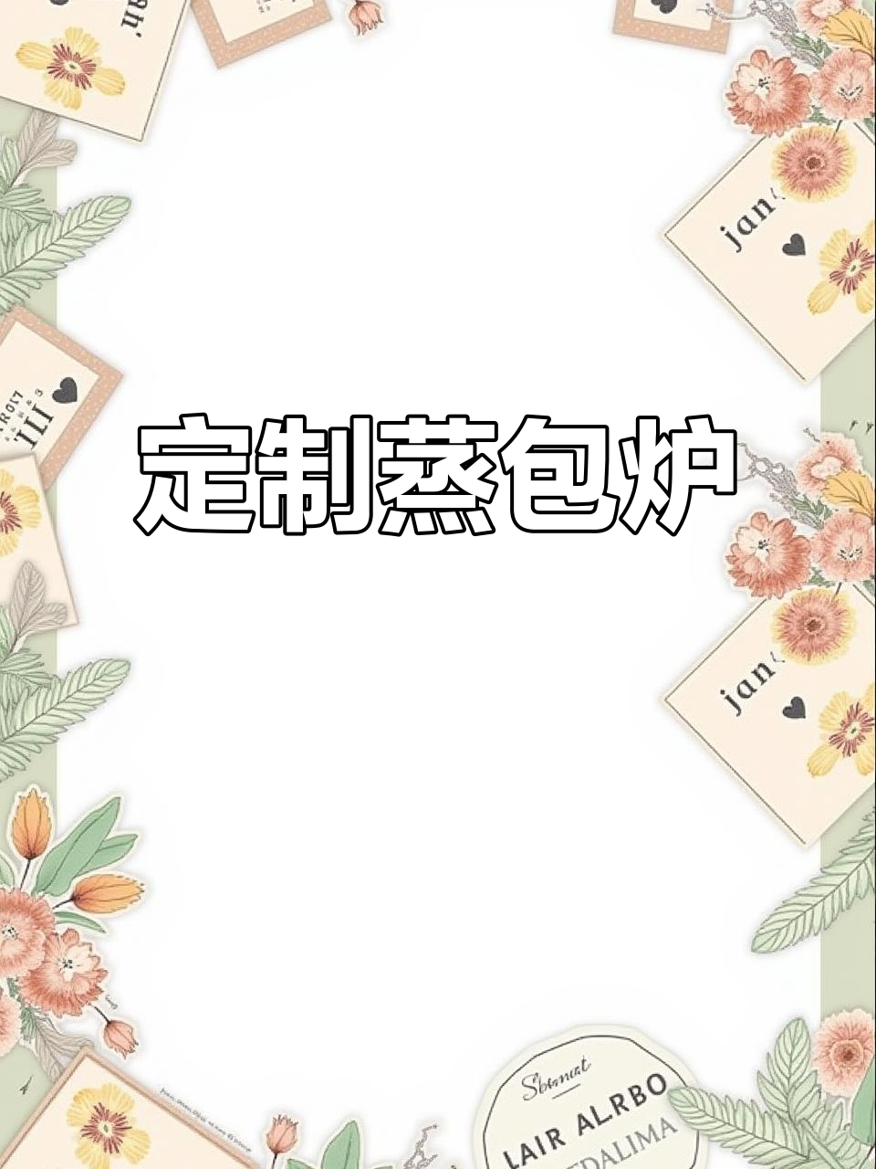 三孔蒸包炉，定制尺寸与功能，煤气电热款现货供应