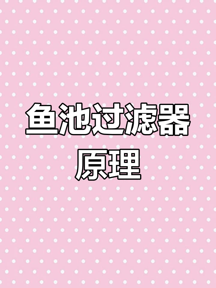 鱼池过滤系统揭秘:水是如何循环的,沉淀舱如何工作?