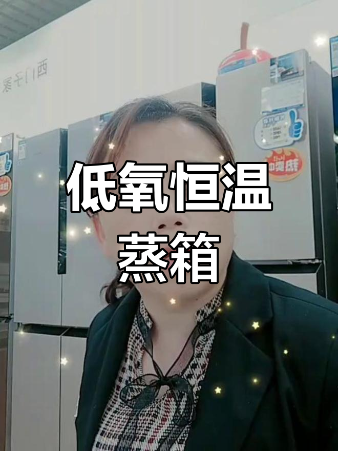 西门子低氧恒温蒸箱:精准控温,智能烹饪新体验