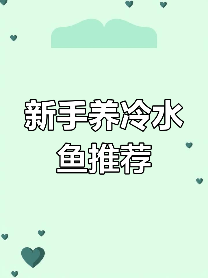 七种适合新手养的冷水鱼,冬季无需加热棒