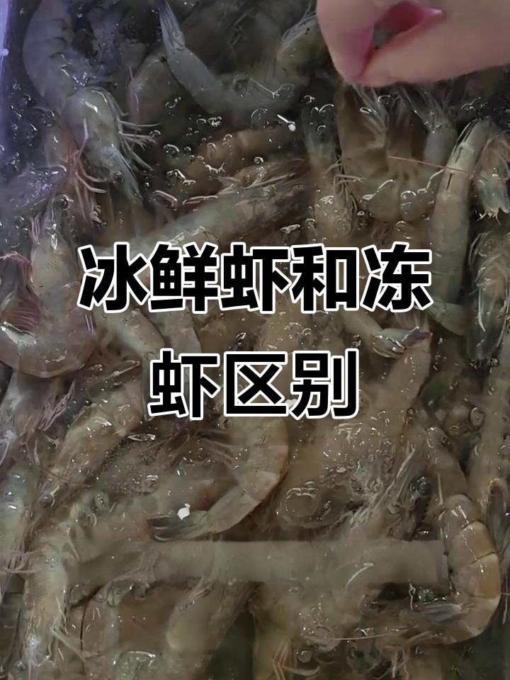 冰鲜虾与冻虾的区别,口感大不同