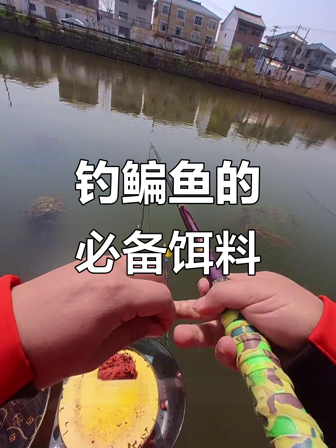 钓鳊鱼技巧大揭秘:如何用鸡肠子、玉米和红虫做饵料