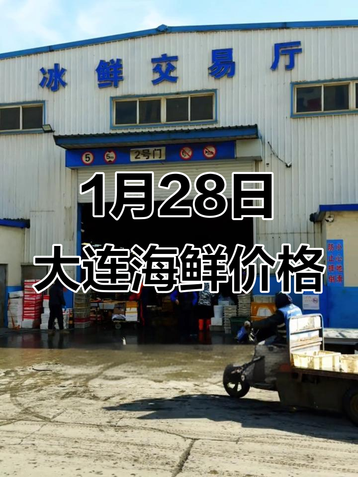 1月28日大连海鲜市场行情:鱿鱼帝王蟹等热销价揭秘