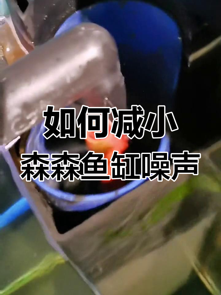 森森鱼缸溢流区声音优化技巧,轻松解决水流噪音问题