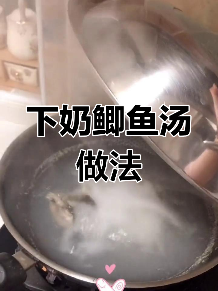 猫咪下奶鲫鱼汤,简单又营养的喂养方法