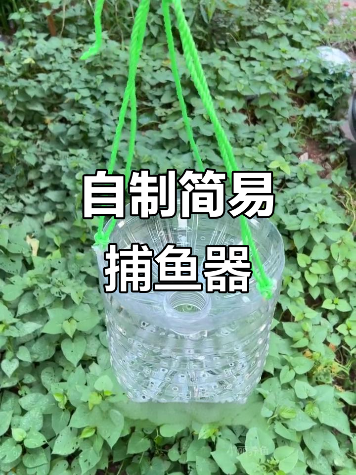 废矿泉水瓶变野采神器,轻松捕捉小鱼!