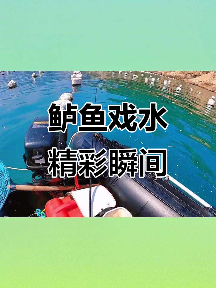 近距离观察鲈鱼戏水,精彩洗腮瞬间大揭秘