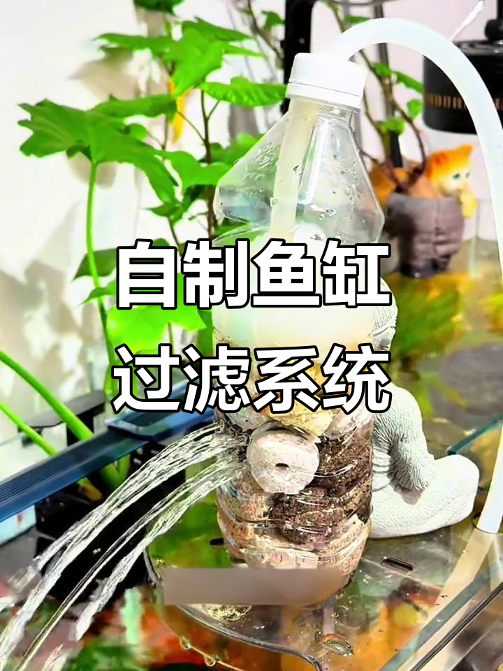 用废矿泉水瓶做小鱼缸过滤器，简单又实用