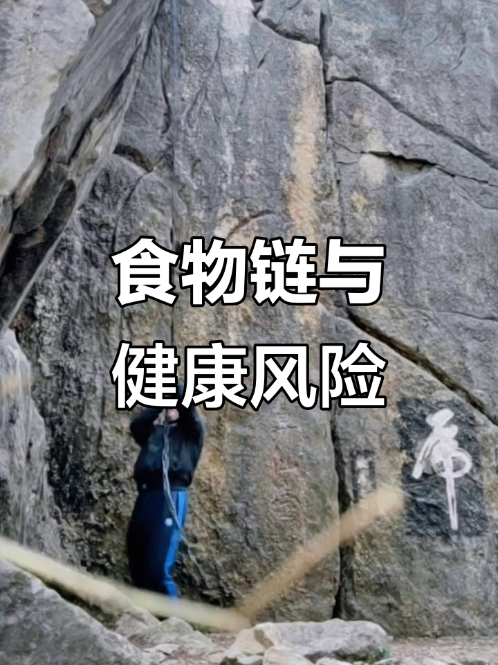 银鳕鱼汞含量高,孕妇儿童应谨慎选择;小型海鲜更安全