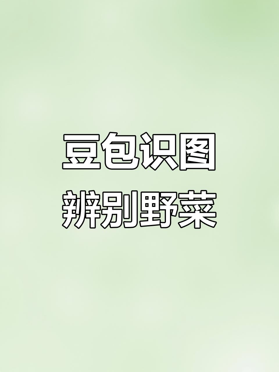 豆包AI教你分辨野菜,轻松识别茼蒿和东汉菜的秘密