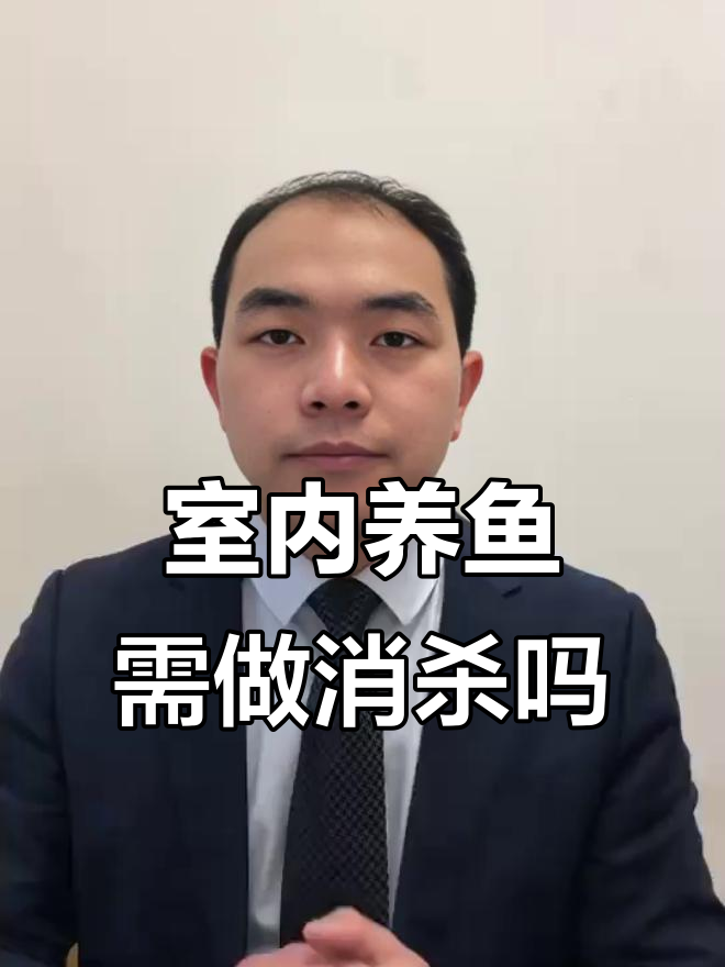 室内鱼缸是否需要做消杀?这些情况下可以省掉