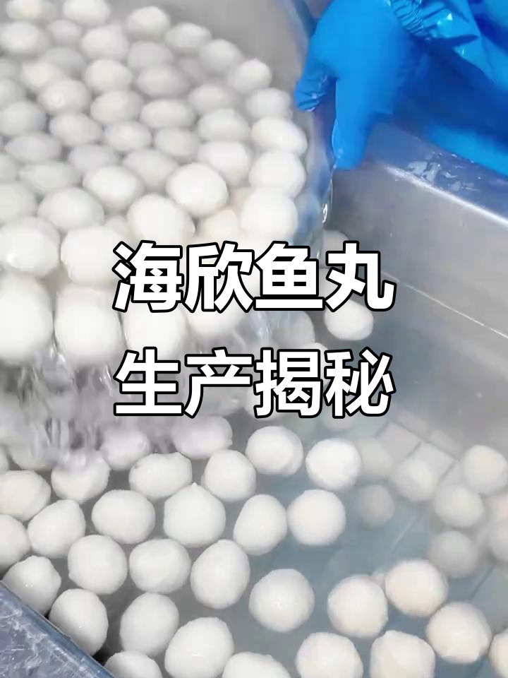 探秘海欣福州鱼丸制作全过程,严格把控品质与细节