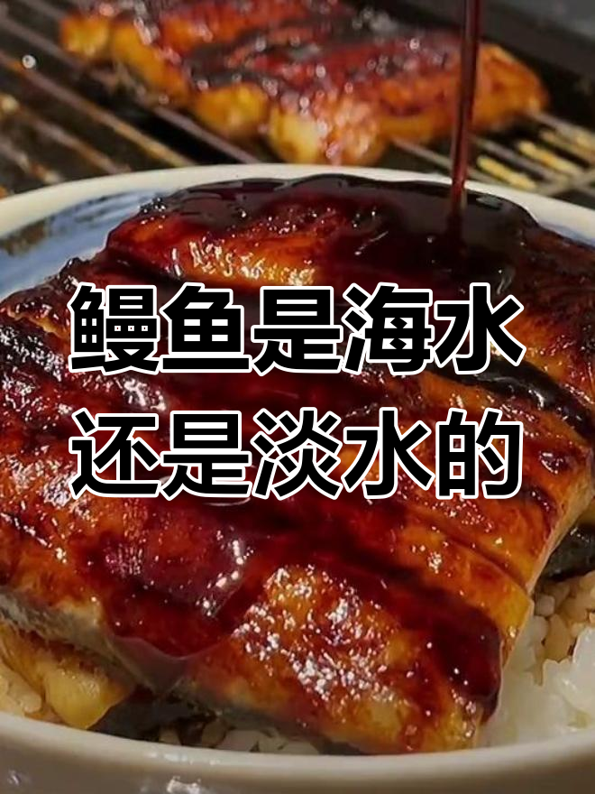 鳗鱼到底是海鱼还是淡水鱼?揭秘蒲烧鳗鱼的制作秘诀