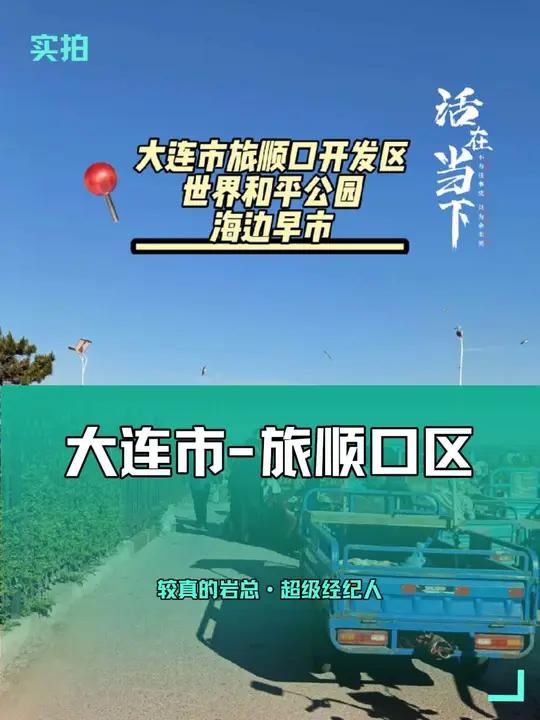 大连旅顺开发区,世界和平公园海边早市,附近海辉街还有一个,东西都挺便宜,活青虾18一斤,扣
